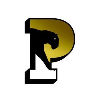 Panthers Logo